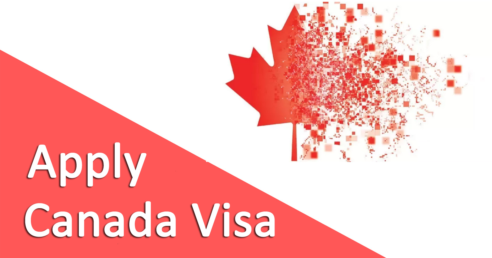 how-to-apply-for-canadian-visa-loan-scholarship